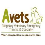 AVETS